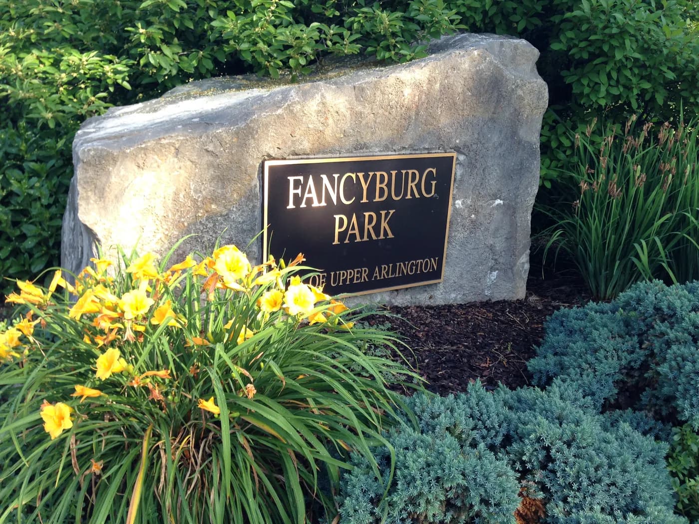 The stone Fancyburg Park sign surrounded by yellow daylilies