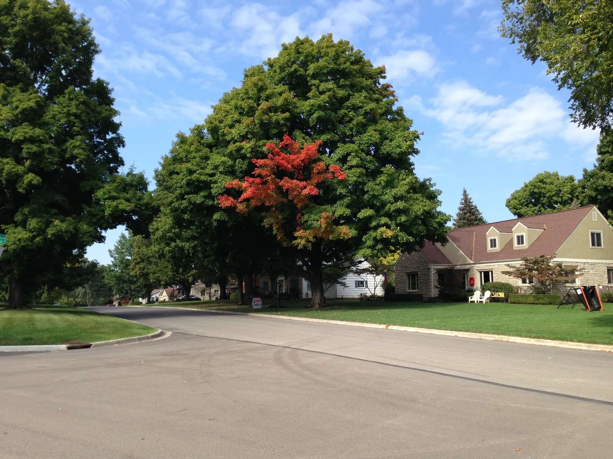A quiet residential street in Upper Arlington with a maple turning red in front of a brick home